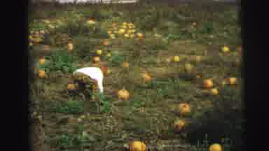 Lynbrook New York (1973): Girl Picking Up Pumpkin And Kids Sitting On A Wagon
