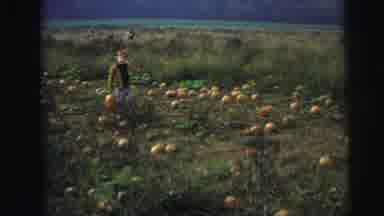 Lynbrook New York (1973): Three Kids Filmed Transporting Pumpkin On Field Look
