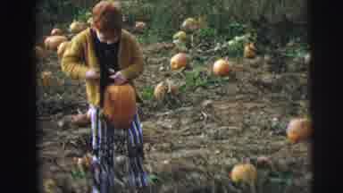 Lynbrook New York (1973): A Child Roaming Around And Picking Pumpkin In A Pumpkin