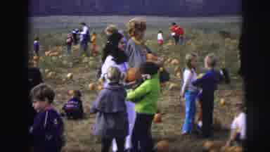 Lynbrook New York (1973): School Field Trip To Pumpkin Patch For The Kids To Pick