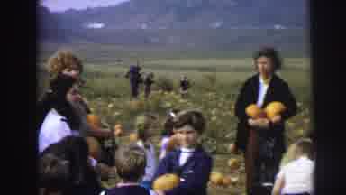 Lynbrook New York (1973): The Persons Are In The Garden It Is The Beautiful Place