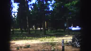 Colorado Springs USA (1958): There Is A House In The Middle Of The Trees