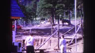 Colorado Springs USA (1958): Family In A Forest