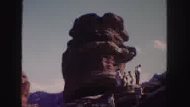 Colorado (1958): The Nature Was Looking So Beautiful So Many Trees Flowers Grass