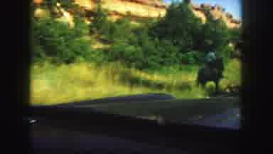 Colorado (1958): Car Rider Watches Horseback Riding Family During A Sunny Day
