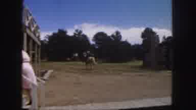 Colorado (1958): Person Wearing Blue Shirt Rides Tan Horse On A Clear Sunny Day