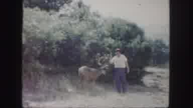 Colorado (1958): Man Petting A Deer With Large Antlers Next To Some Trees And