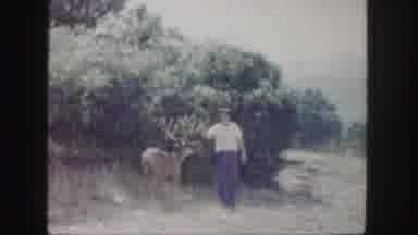 Colorado (1958): 1960'S Personal Video Of Guy Interacting With A Deer Which