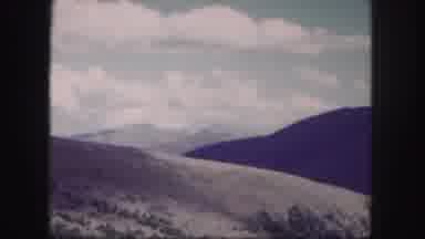 Colorado USA (1958): View Of An Exuberant Nature Formed By Hills Plants Trees And