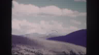 Colorado USA (1958): Passing View Of Green Trees And Mountains On A Clear Day