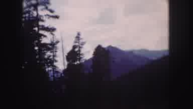 Colorado USA (1958): Driving On Road Tall Trees Surrounding Road View Of Mountain
