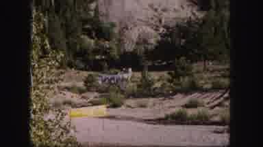 Colorado USA (1958): Factory In The Mountains Where There Are Plenty Of Evergreens