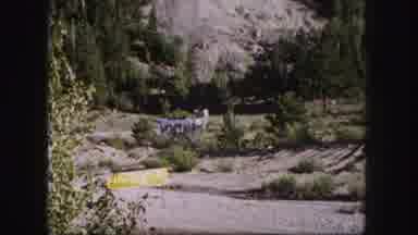 Colorado USA (1958): Driving A Car Through A Mountainous Valley With Trees All