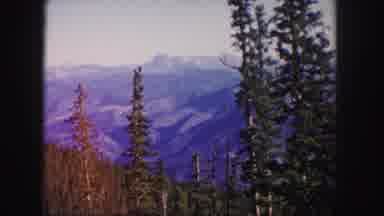 Colorado USA (1958): The Nature Was Looking So Beautiful So Many Trees Flowers