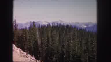 Colorado USA (1958): Birds Eye View Of Thick Forest Near Snowy Mountainous