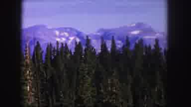 Colorado USA (1958): View Of Mountains And Green Trees On A Clear Sunny Day