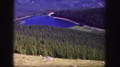Colorado USA (1958): Canal In The Forest