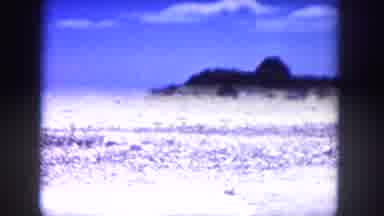 Colorado USA-1958: The Desert By A River