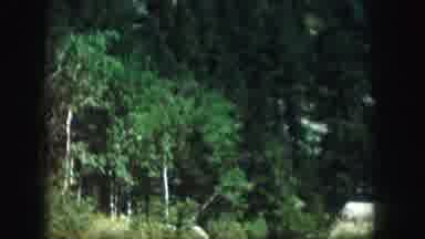 Colorado USA (1958): Men On Horse Strolling Around The Rainforest Of Arizona