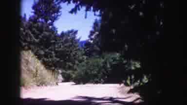 Colorado USA (1958): Nature Scene On A Secluded Back Road In The Summertime