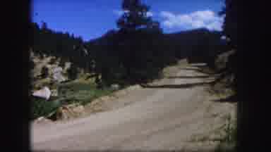Colorado USA (1958): Country Road Bordering On Forest Pines In Dry Mountainous