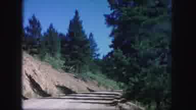 Colorado USA (1958): Driving Down The Road With Views Of Large Green Trees