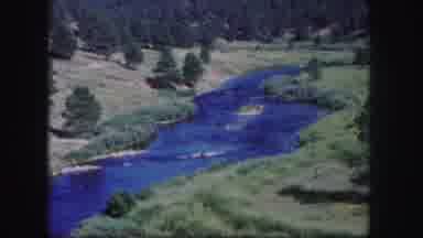 Colorado USA (1958): There Are A Lot Of Trees In The Hammer Forest With A River In