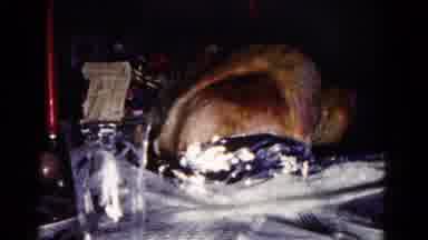 Hagerstown Maryland USA (1958): Some Eating Things In The Table Seeing Very