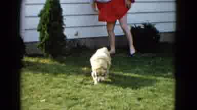 Las Vegas USA (1958): A Puppy Scroll In The Garden They Enjoy Themselves