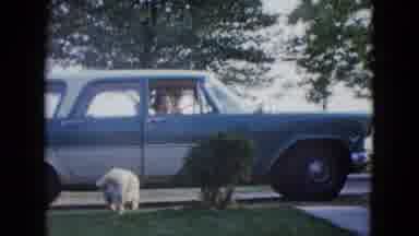 Las Vegas USA (1958): Dog Happy To See His Owner Who Came Back From Work