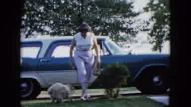 This pup's got a lot of love in the trunk...and the car too!