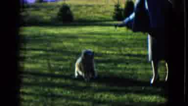 Las Vegas USA (1958): A Owner Playing In His Pet Animal They Are Enjoy Themselves
