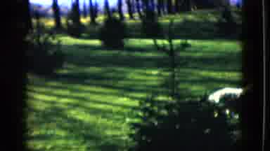 Las Vegas USA (1958): Dog Plays On The Lawn Of The House On A Sunny And Hot Day