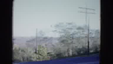 Las Vegas USA (1958): View Of Desert Shrubs And Trees On A Bright Sunny Day