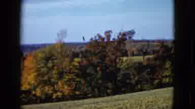 Las Vegas USA (1958): Nature At Its Best Trees In Autumn
