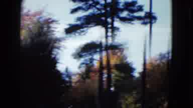 Las Vegas USA (1958): View Of Trees In Rural Area Very Interesting For Activities