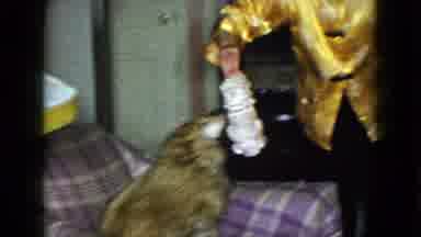 Las Vegas USA (1958): The Dog Is Well Played In The Person Very Happily