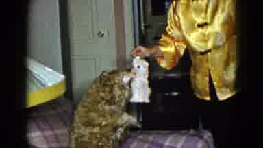 Lady's unique toy teasing skills are pupper-ly unmatched!