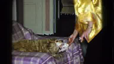 Las Vegas USA (1958): A Lady Giving A Dog An Object To Play With