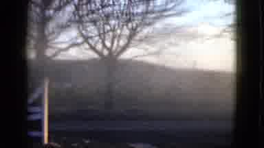 Las Vegas USA (1958): Beautiful Virginia Beach Farm With Great Vegetation In The