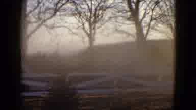 Las Vegas USA (1958): Bull Crosses Road On A Foggy Day And Nearly Hit Passing Cars