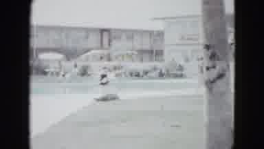 Las Vegas USA (1958): Many Of The Persons Are In The Park Speaking Happily