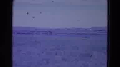 Omaha Nebraska USA (1958): The Land Is Empty And Nothing But Nature For Miles