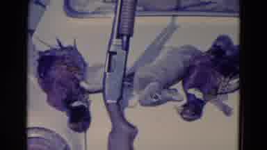 Omaha Nebraska USA (1958): The Hunter Man Hunt The Bird And Rabbit With Help Of