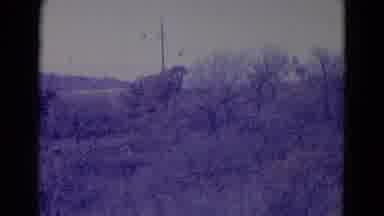 Omaha Nebraska USA (1958): It Is A Lovely Place Look Like A Beautiful Place