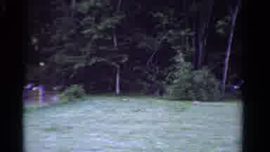 Ontario Canada (1958): Camera Pans Left Recording Distant Trees With One Closer