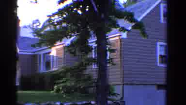 Ontario Canada (1958): House And The House Surrounded By The Green Grass And Tree