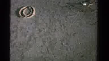 Ontario Canada (1958): They Are Writing On The Sand That Is On The Sea