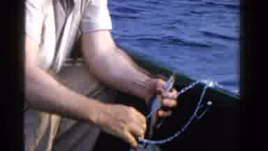 Ontario Canada (1958): Fishing A Lot For Family Summer Lunch