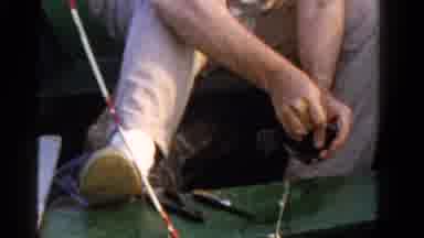 Ontario Canada (1958): Fisherman Removing Hook Off Caught Fish